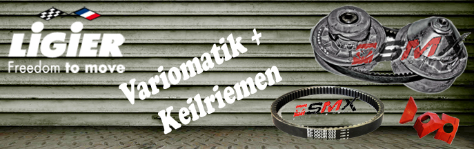 Variomatik & Keilriemen